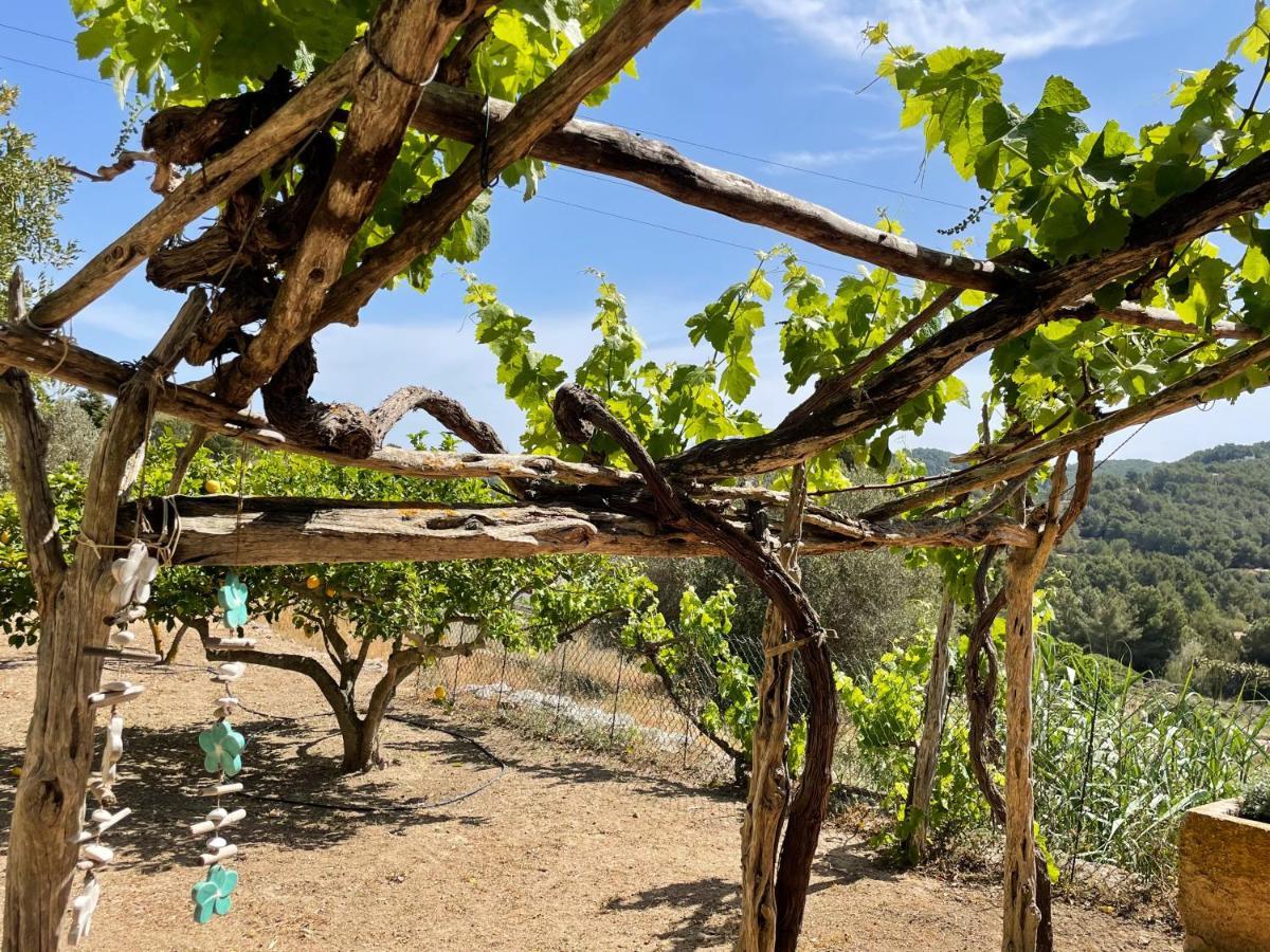 Finca Can Toni Den Real San José المظهر الخارجي الصورة